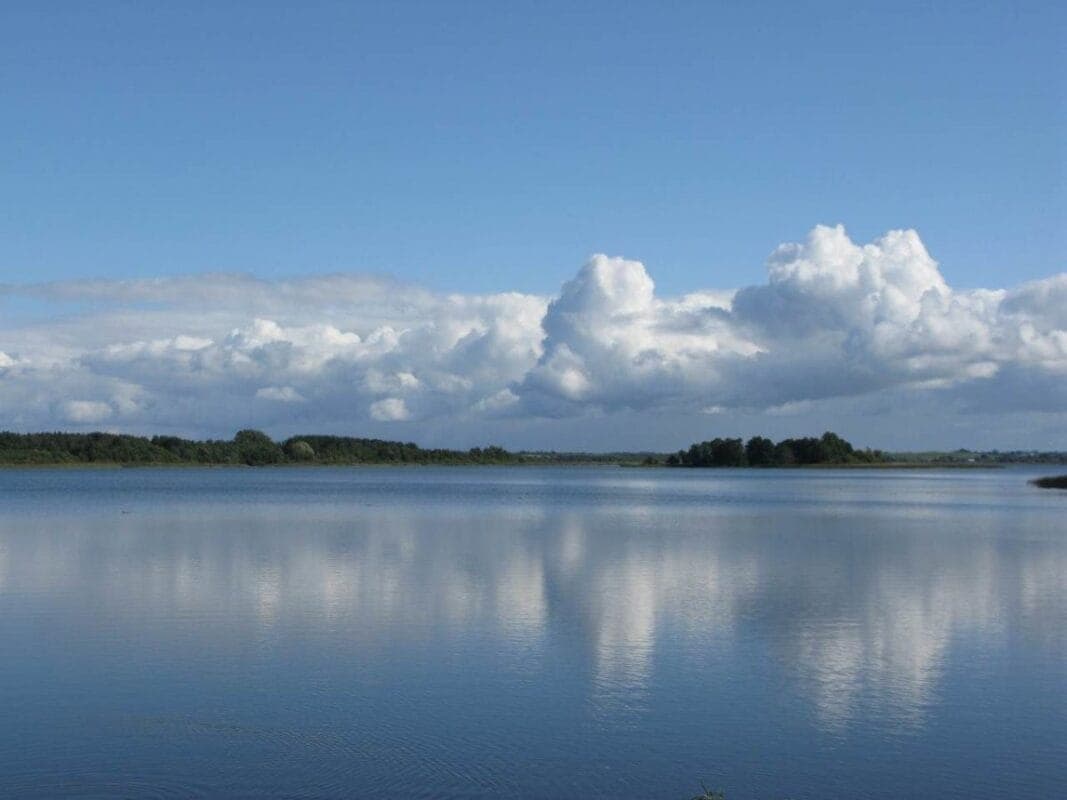 Интерьер апартаментов Deluxe