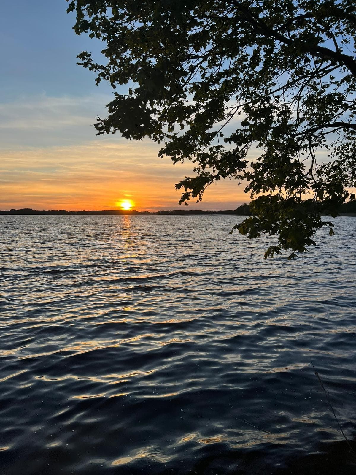 Домики Shepelev House — вид снаружи